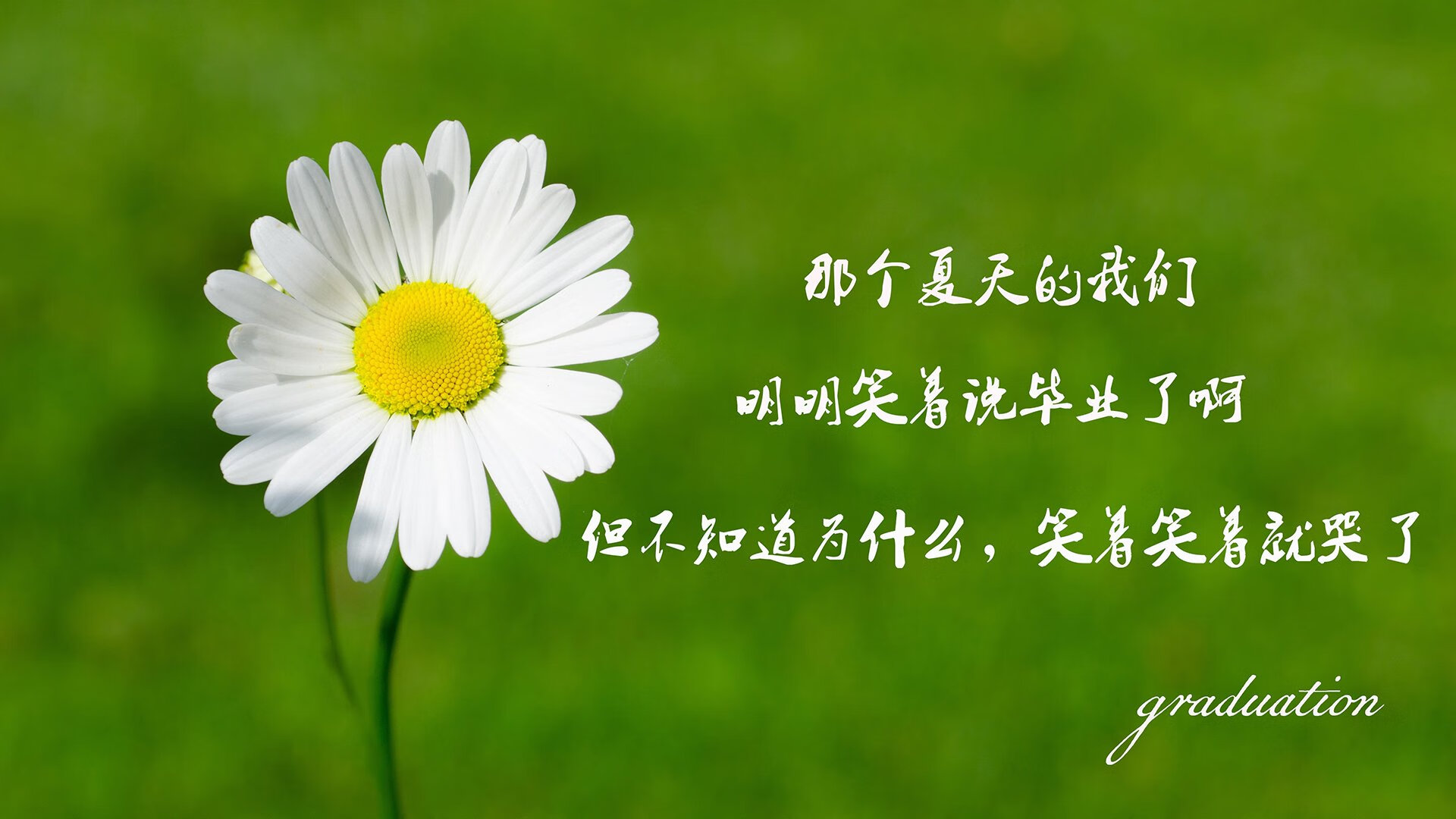 英超青训教练与一线教练接班机制对比分析，英超最新教练工资