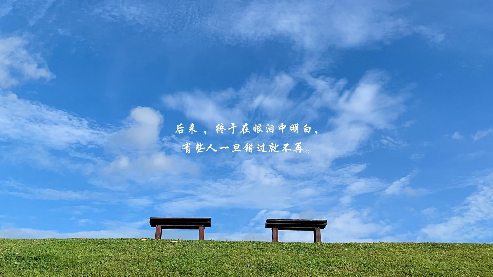 足球场草皮耐磨性提升研究成果公布，专业足球场草皮多少钱