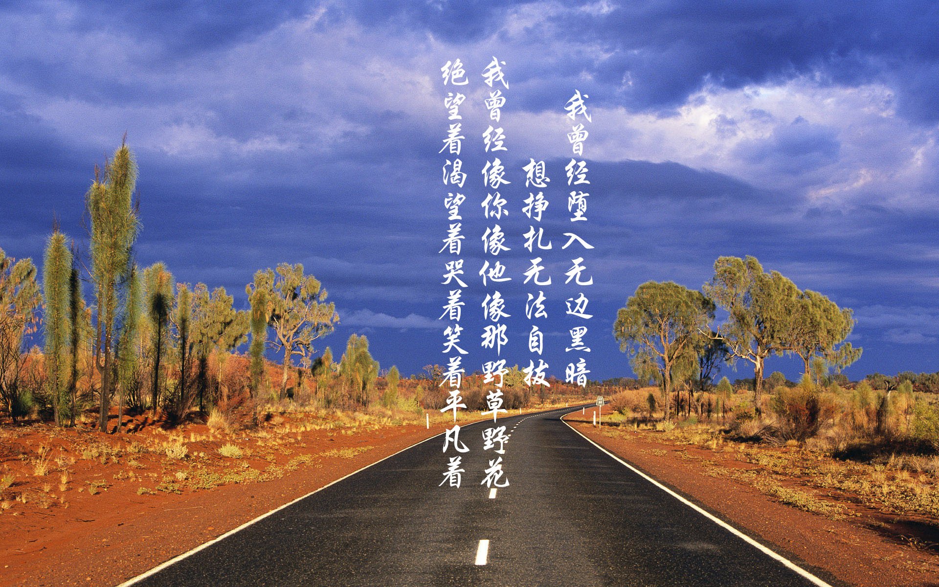 “马科斯·莫奇的灵活防守与精准突破，为阿根廷美洲狮队铺平胜利之路”