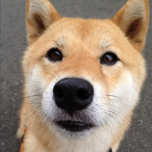 AYX SPORTS-奇克男子篮球在国际邀请赛中表现抢眼，晋级关键一战