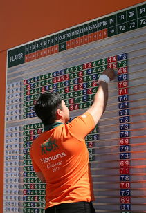 爱游戏综合娱乐-格鲁吉亚女篮在欧洲锦标赛中夺冠，崭露头角的佳绩队伍，格鲁吉亚参加过欧洲杯吗