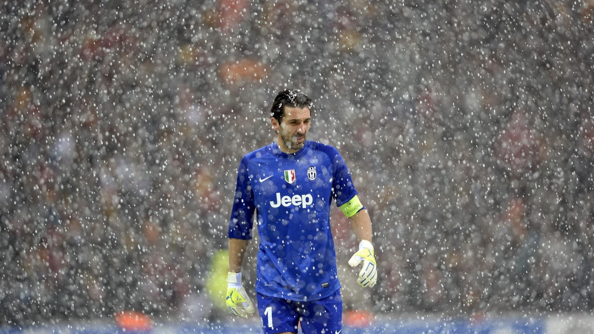 荷兰马术协会与大学合作，开展马术运动营养研究，优化饮食方案。